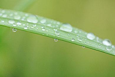 温柔甜美女机器人 《原子之心》分享娜塔莎概念图